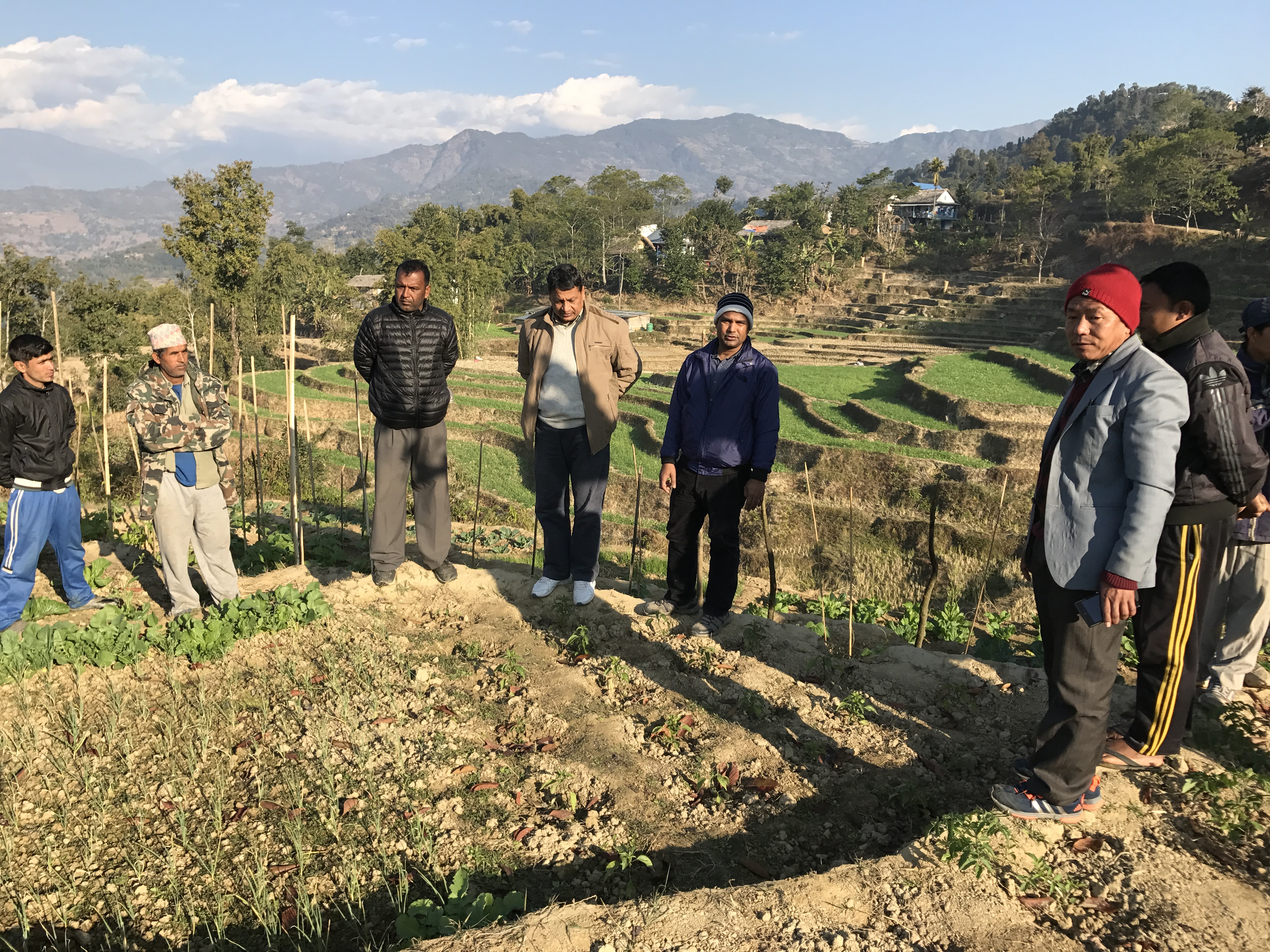 जिल्ला कृषि विकास कार्यालय, संखुवासभामा यहालार्इ हार्दिक स्वागत छ ।